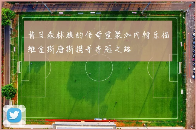昔日森林狼的传奇重聚加内特乐福维金斯唐斯携手夺冠之路