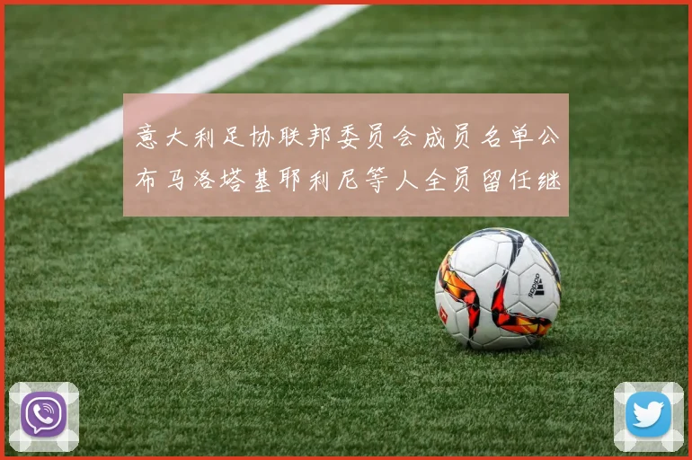 意大利足协联邦委员会成员名单公布马洛塔基耶利尼等人全员留任继续服务